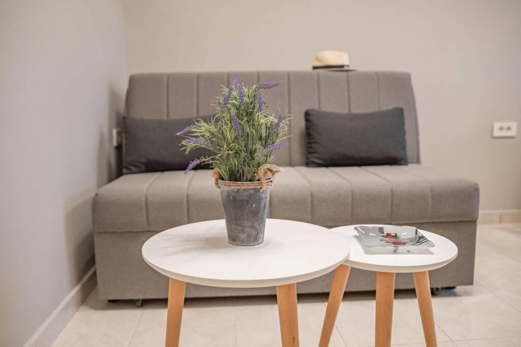 El Sueno De Zante 2Nd City Center Apartments מראה חיצוני תמונה